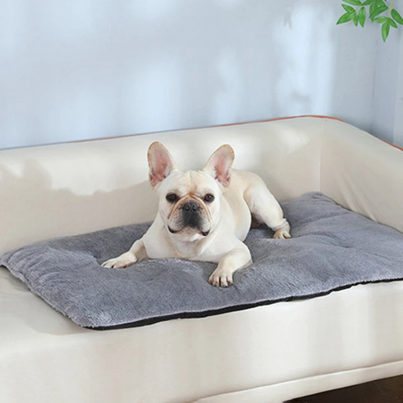 Dog Bed Short Plush Pet Heated Sleeping Mat