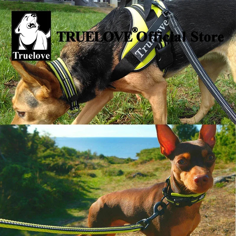 Adjustable Nylon Padded Reflective Collar