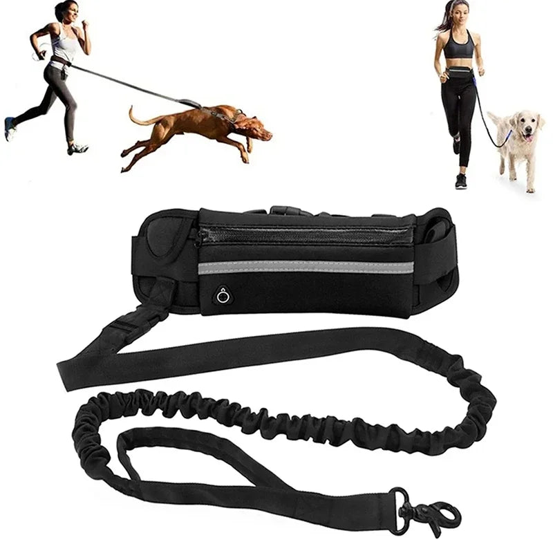 Hands Free Dog Leash Reflective with Waist Bag Retractable Elastic Belt Traction Rope