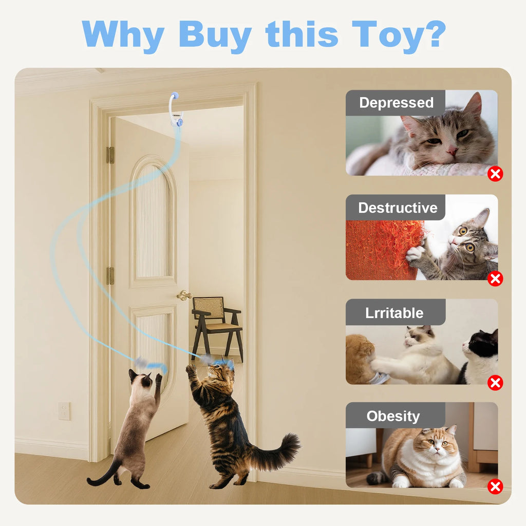 Cat Toys Electric Door Hanging Interactive  USB Rechargeable Retractable