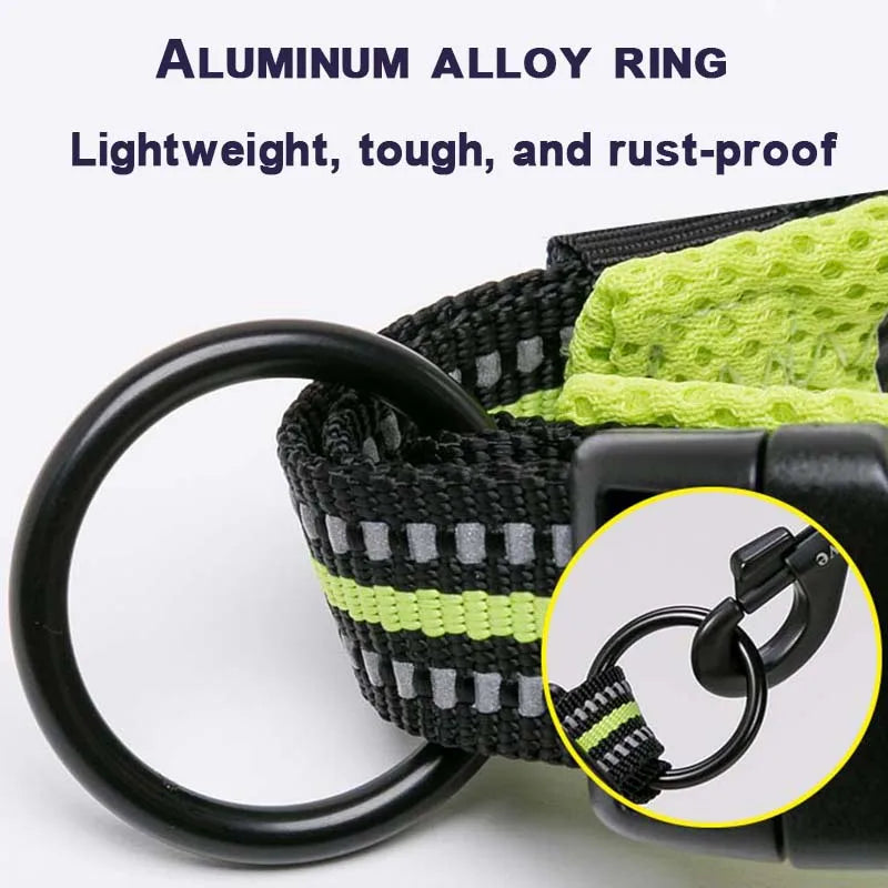 Dog Walking Collar, Padded with Buckle