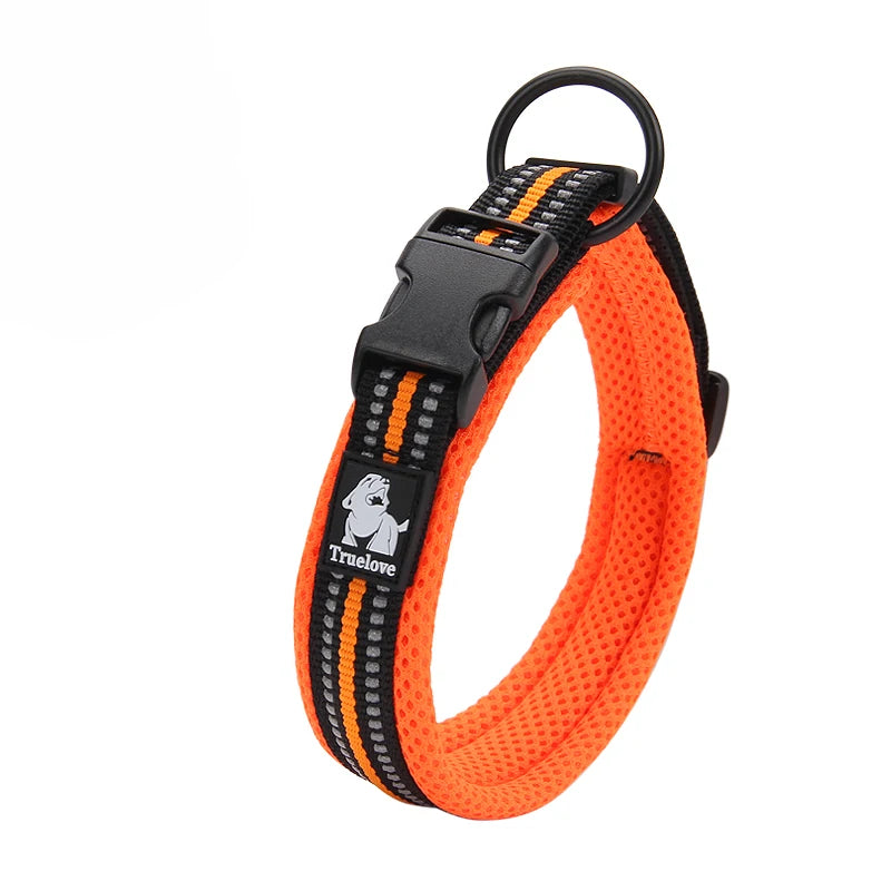 Dog Walking Collar, Padded with Buckle