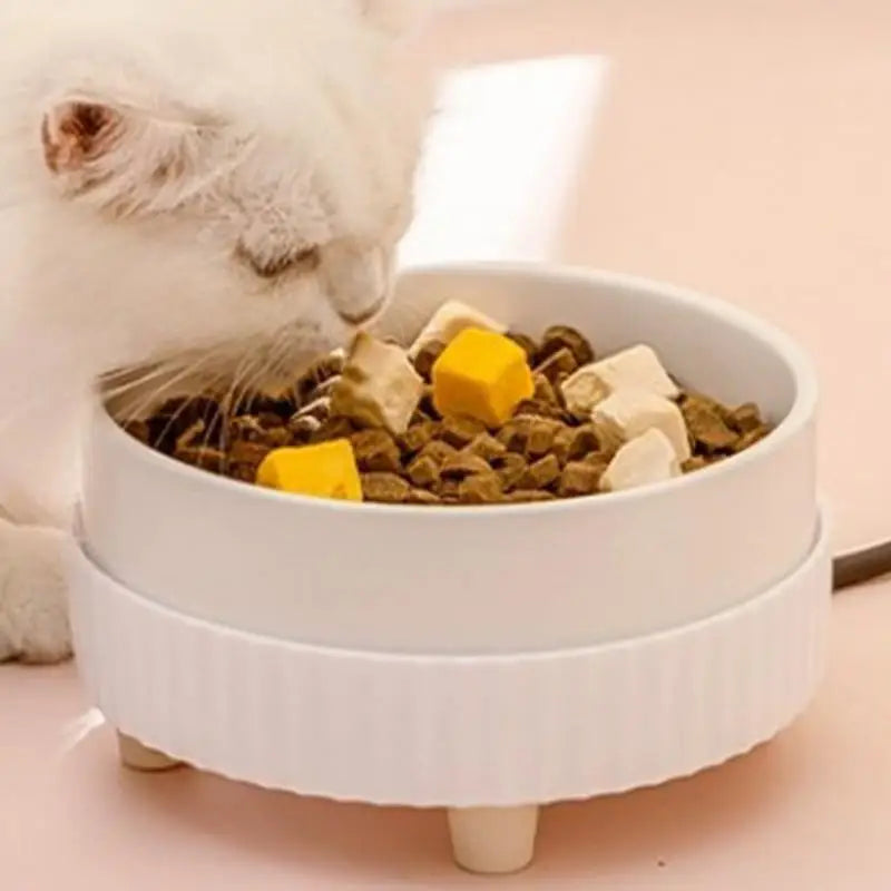 Heated Cat Bowl Rechargeable Ceramic