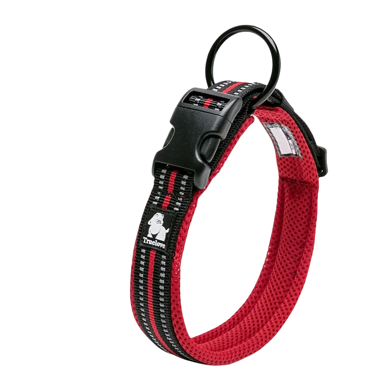 Dog Walking Collar, Padded with Buckle