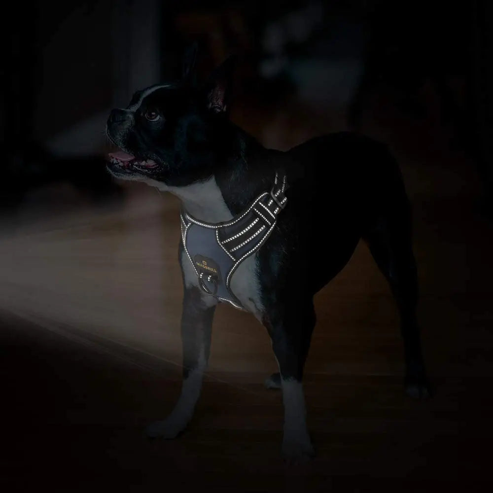 Dog Harness No Pull Adjustable Reflective