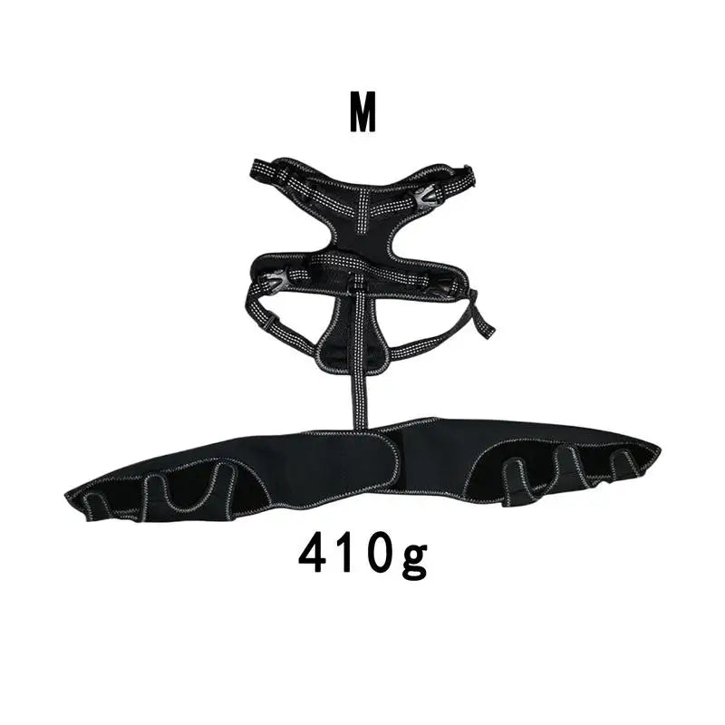 Orthopedic Brace For Dogs Hip Hock Support Adjustable Leg Support