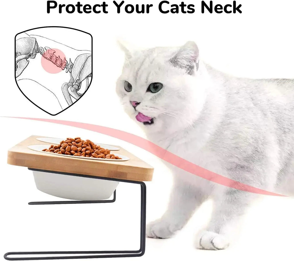 Elevated Cat Ceramic Bowls,15° Tilted Feeding Dishes, Solid Bamboo Water Stand