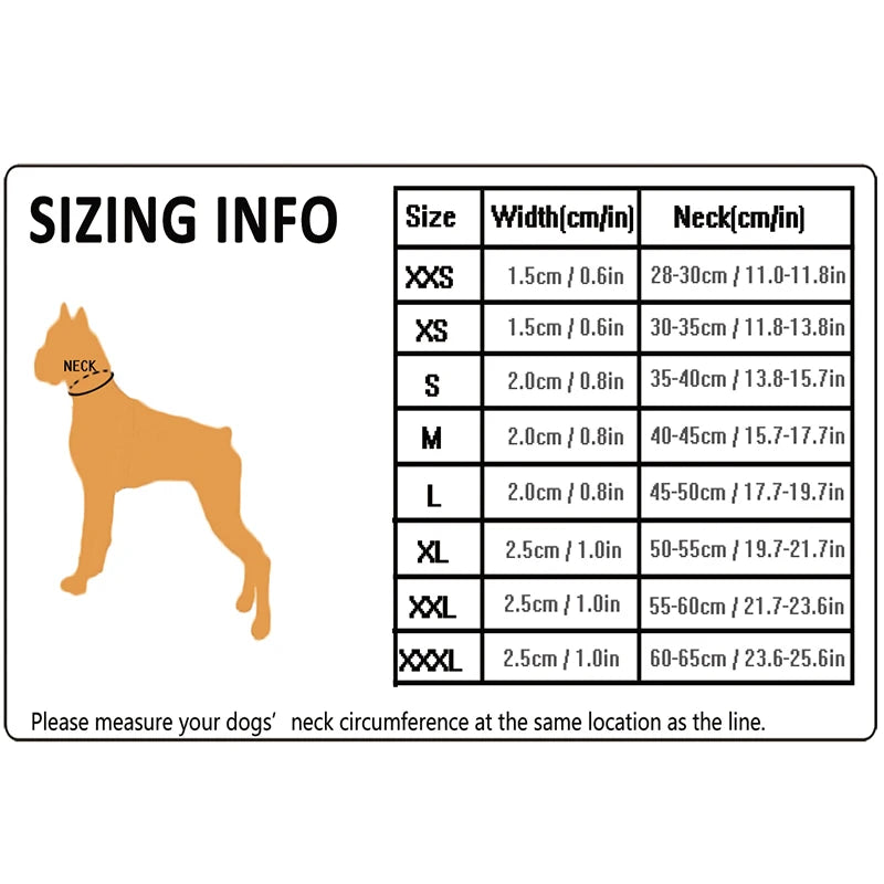 Dog Walking Collar, Padded with Buckle