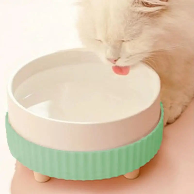 Heated Cat Bowl Rechargeable Ceramic