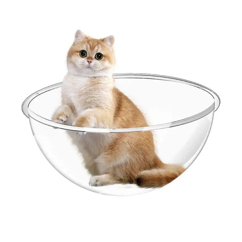 Space Capsule Cat Bed Nesting Transparent