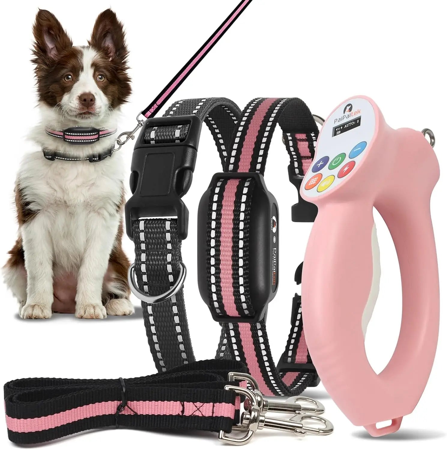 Dog Shock Collar & No-Pull Leash Set, Waterproof, 1600ft Range, Remote Recall