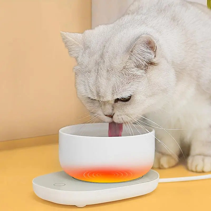 Dog Heating Water Bowl  Food Heater With Low Noise