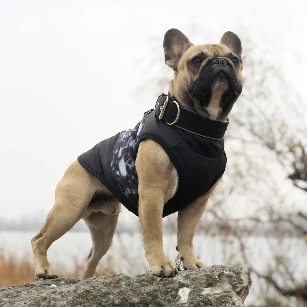 Warm Dog Clothes For Small Dogs Windproof Dog Jacket Vest