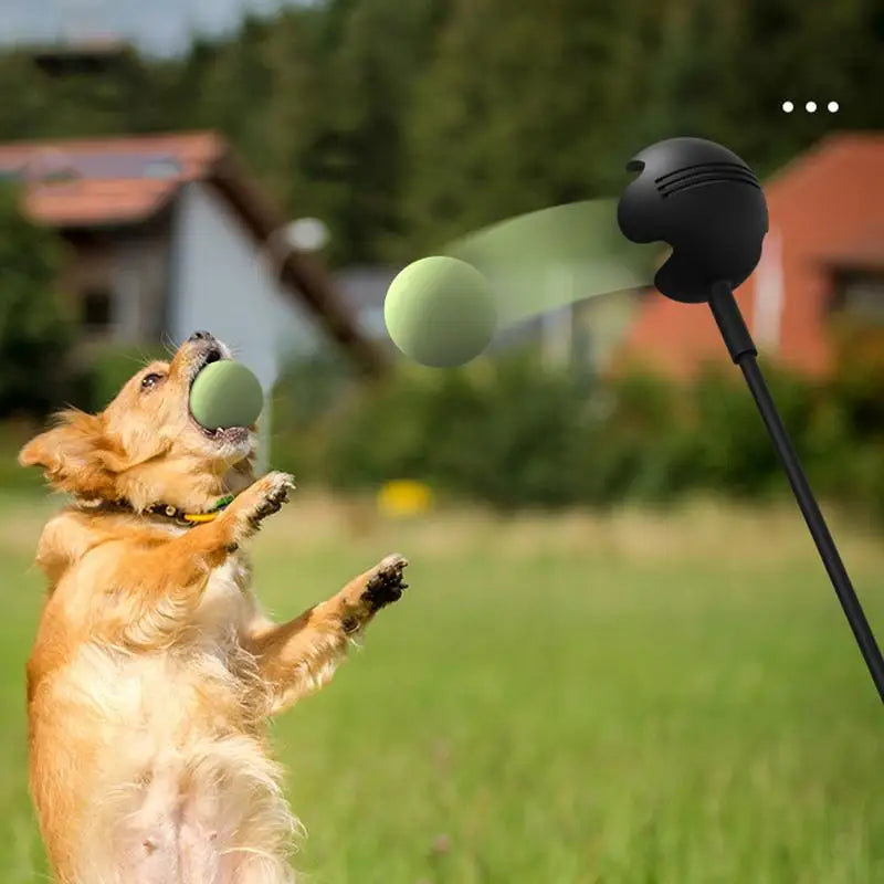 Dog Toys Throwing Pole Pet Throwing Stick Hand Ball Launcher Pole